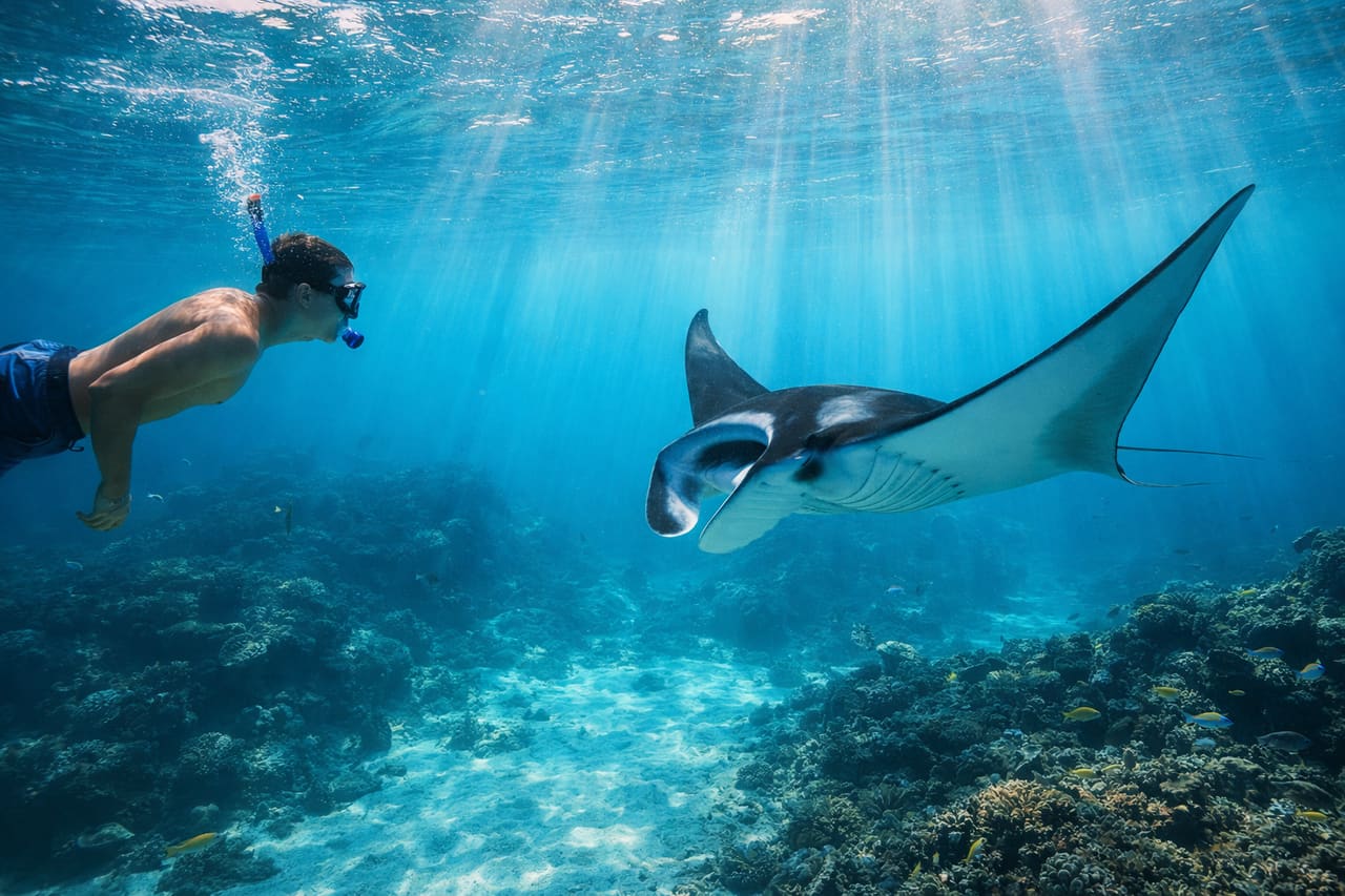 Nuotata con una manta in acqua limpida con un turista e uno smartphone con eSIM sulla barca