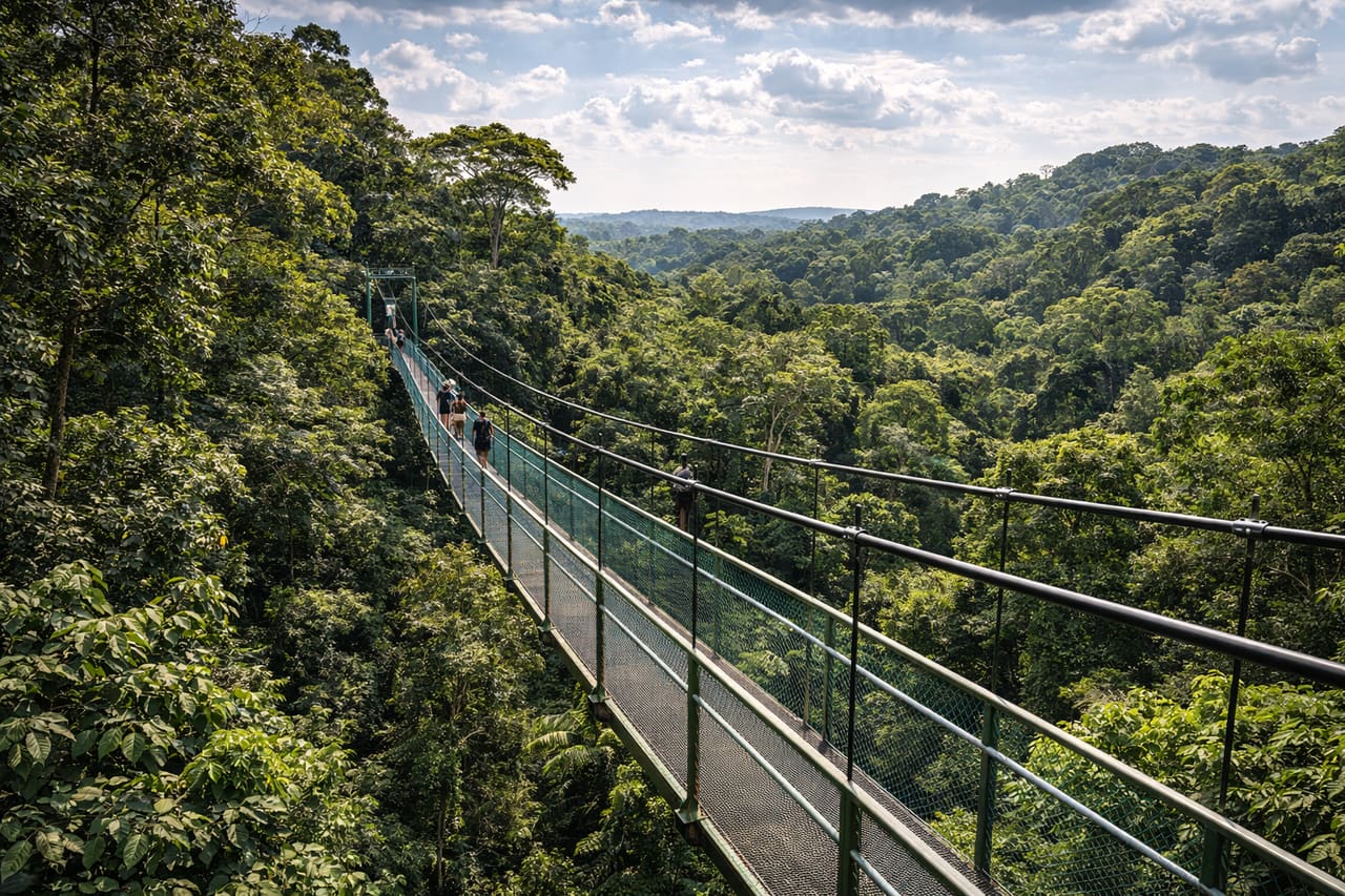 Il ponte sospeso TreeTop Walk nella foresta tropicale.