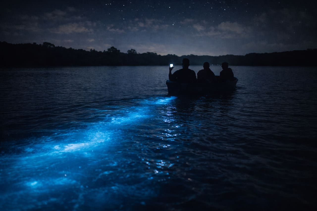 Laguna bioluminescente notturna della Giamaica: barca a metà scena, un turista illumina l’acqua con lo smartphone